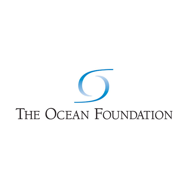 the ocean foundation